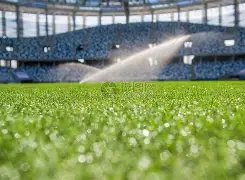 九游会,资讯,j9九游会,九游会,j9,九游会官方网站,j9官网,九游会游戏,j9真人游戏,九游会平台