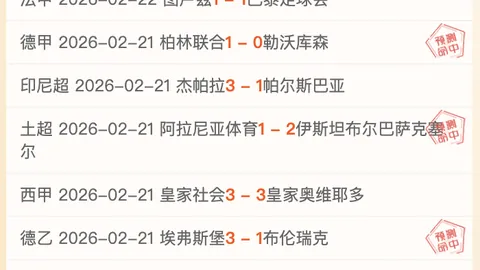 《太阳报独家：帕尔默心动新欢亲临球场，见证蓝军与维拉激情对决！》